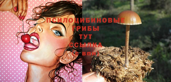 метадон Беломорск