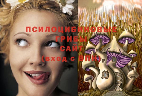 метадон Беломорск