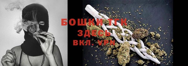 PSILOCYBIN Белокуриха