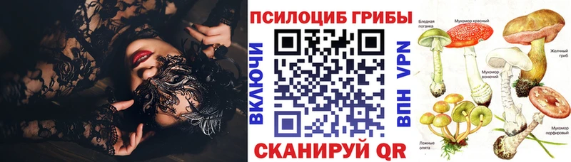 Псилоцибиновые грибы ЛСД как найти закладки Тогучин